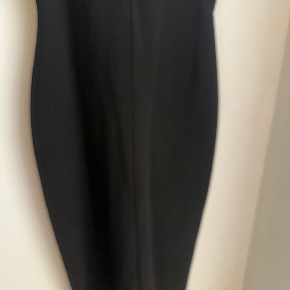 Zara Bejeweled Dress - Picture 10 of 10